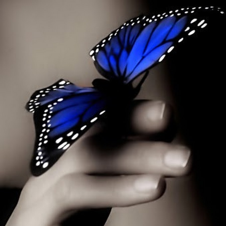 Голубая бабочка на руке