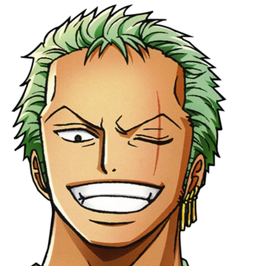 Roronoa Zoro 2 years