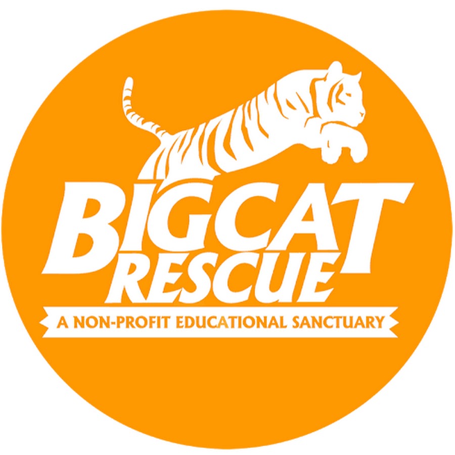 Big Cat Rescue - YouTube