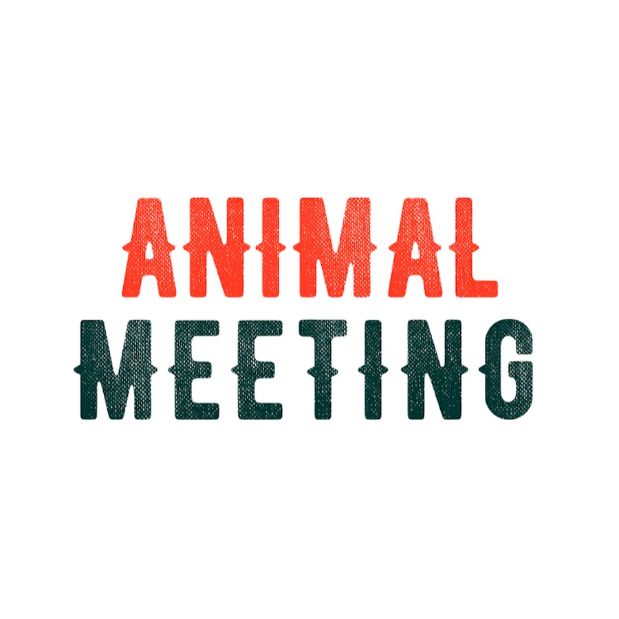 Animal Meeting - YouTube