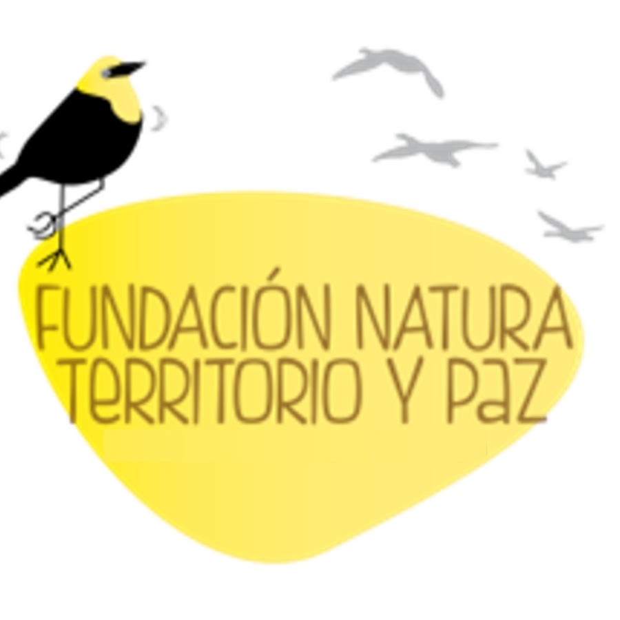 Fundación Natura, Territorio y Paz - YouTube