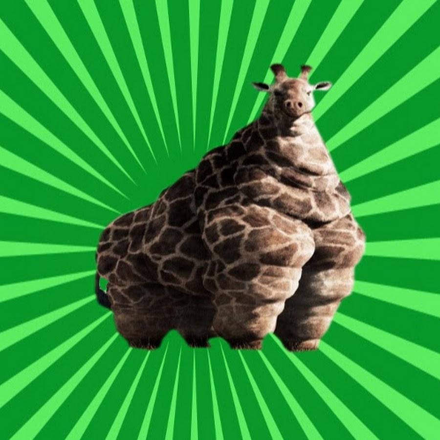 Obese Giraffe - YouTube
