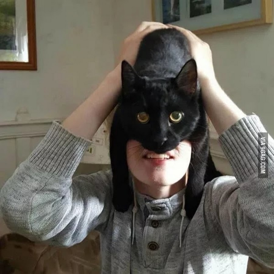 Кот с лицом человека
