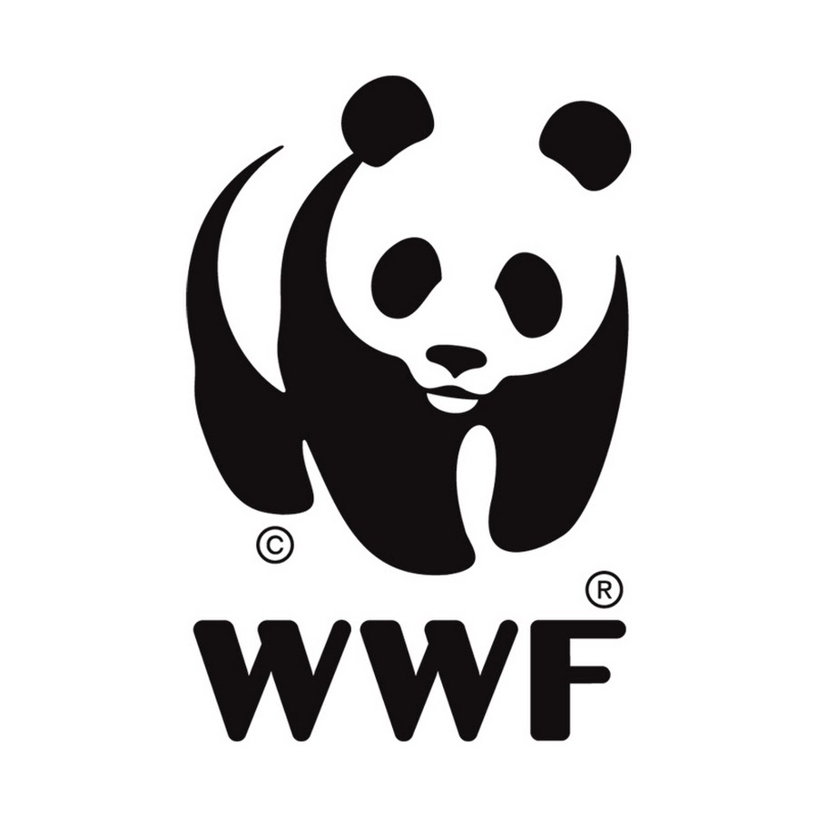 World Wildlife Fund - YouTube