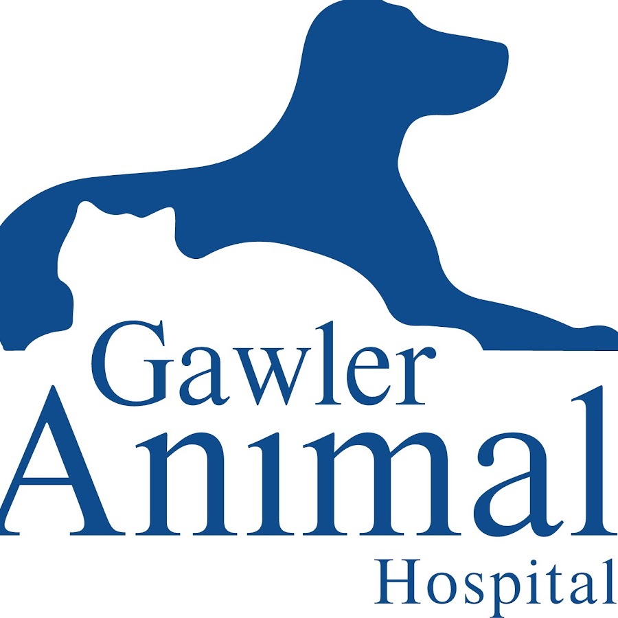 Gawler Animal Hospital - YouTube