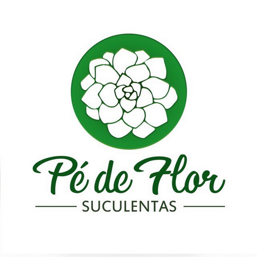 Pé de Flor Suculentas - thptnganamst.edu.vn