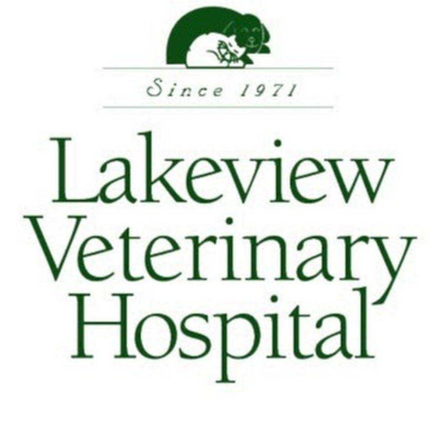 Lakeview Veterinary Hospital - YouTube