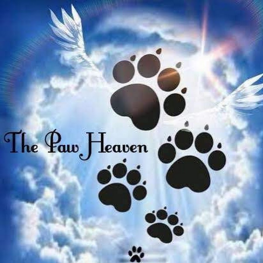 heaven sound tv worship songs mp3 download paw