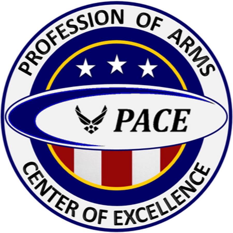 air force profession of arms