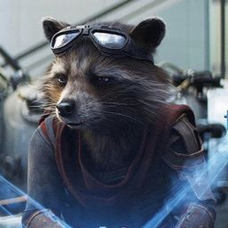 Rocket Raccoon Appearance