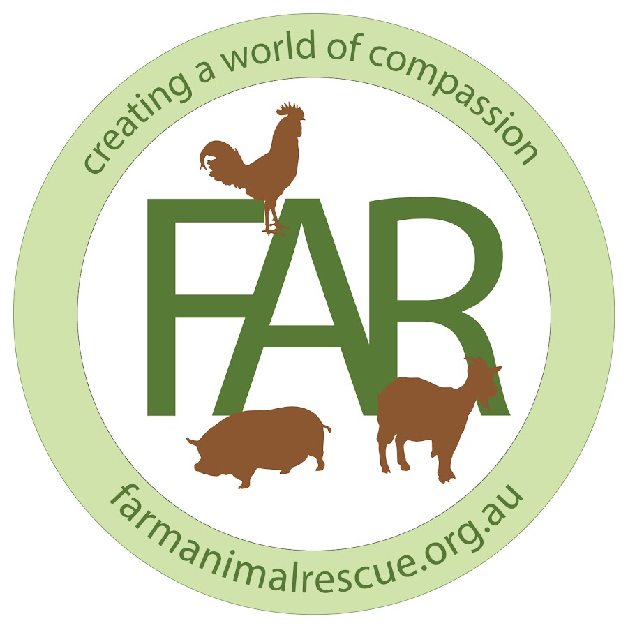 Farm Animal Rescue (Australia) - YouTube