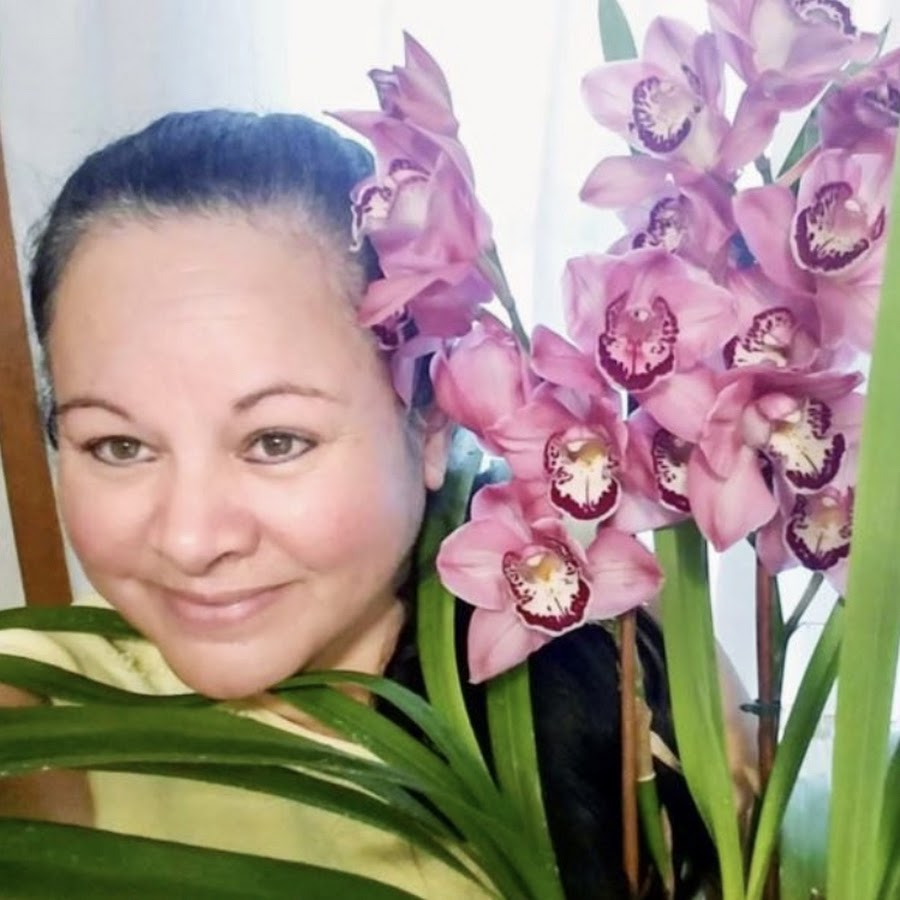Orquídeas en el mundo/ Orchids in the world - YouTube