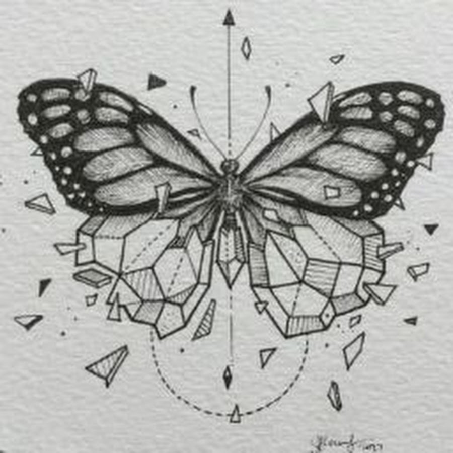 Бабочка геометрия эскиз