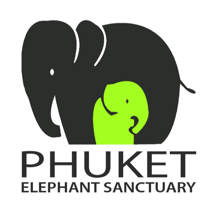 Phuket Elephant Sanctuary - YouTube