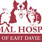 Animal Hospital East Davie - @animalhospitaleastdavie8289 YouTube Profile Photo