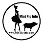 Mini Pig Info - @minipiginfo2487 YouTube Profile Photo