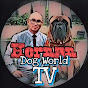 Hernan Dog World TV YouTube Profile Photo