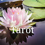 Lilly Light Tarot YouTube Profile Photo