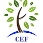 Cabool Education Foundation - @cabooleducationfoundation5454 YouTube Profile Photo