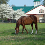 Ramsey Farm - @ramseyfarm664 YouTube Profile Photo