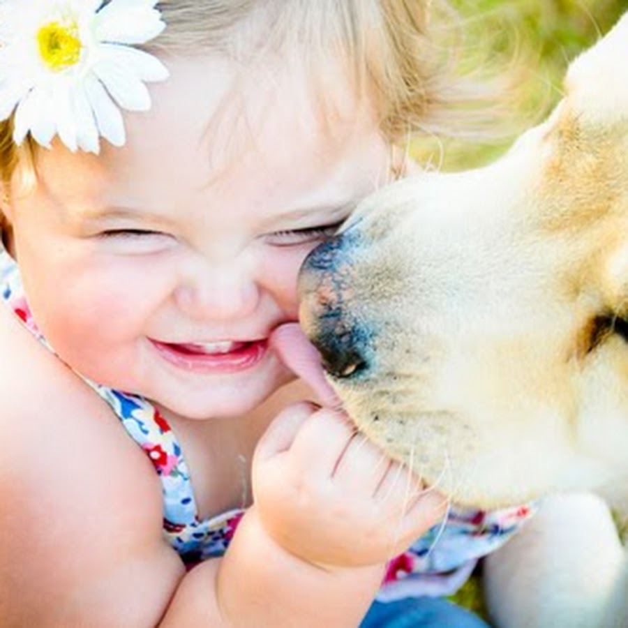 Счастье дети и животные