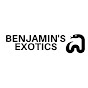 Benjamin's Exotics - @BenjaminsExotics YouTube Profile Photo