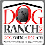 Dog Ranch Inc. YouTube Profile Photo