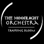 The Moonlight Orchestra - @themoonlightorchestra5540 YouTube Profile Photo