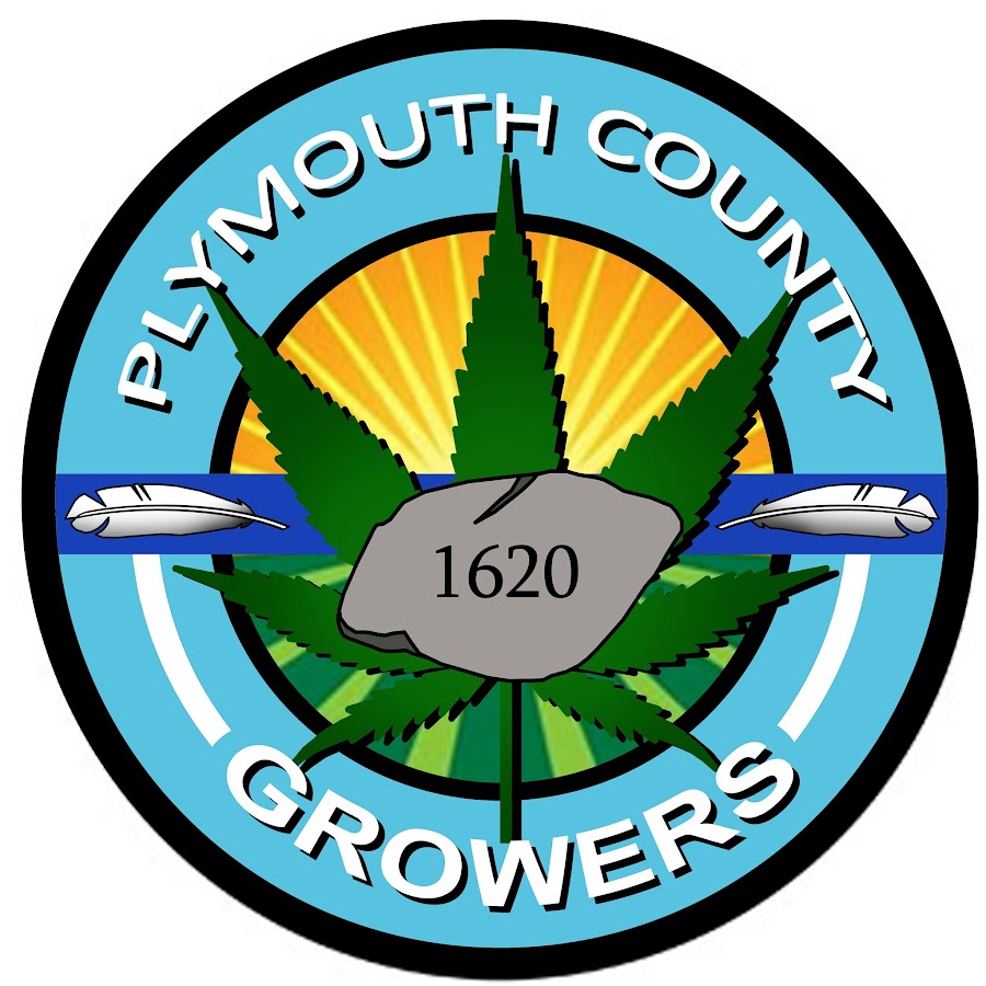 AMLnZuQWjTwAnctOegJFR88Kg96D5VJSHs2rfFScUq=s900ckc0x00ffffffnorj