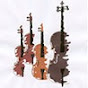 SacTown Strings: A Late Starters String Quartet - @sactownstringsalatestarter4982 YouTube Profile Photo