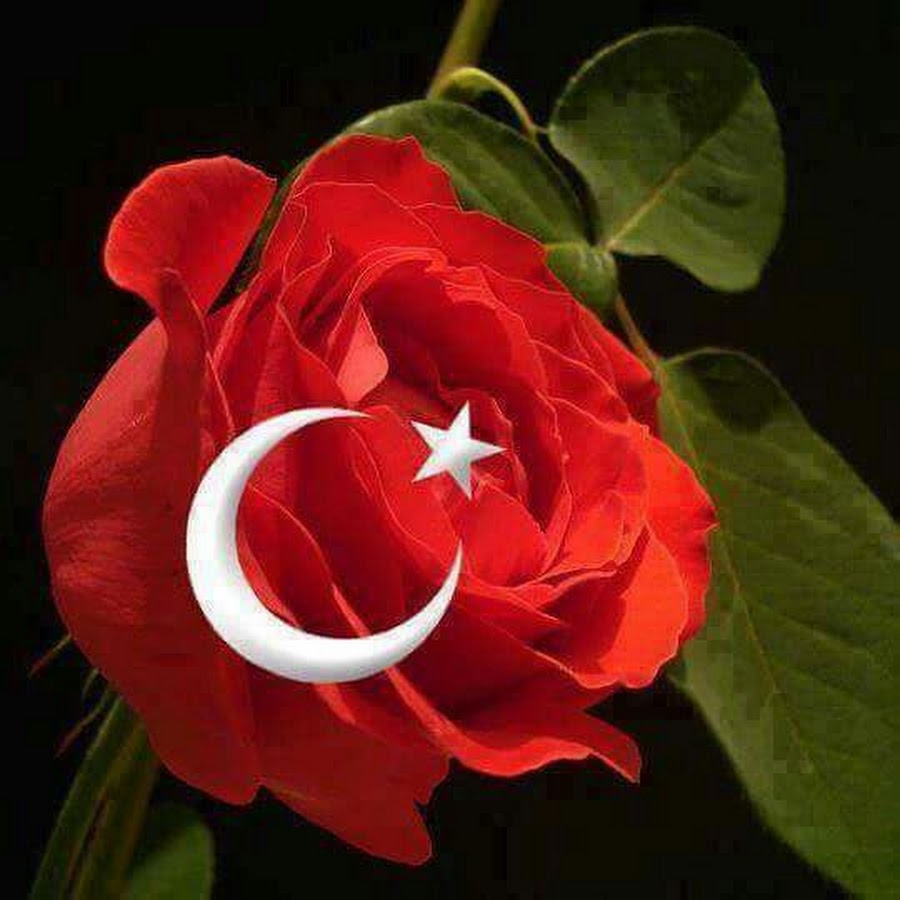 Флаг турецкий с розой