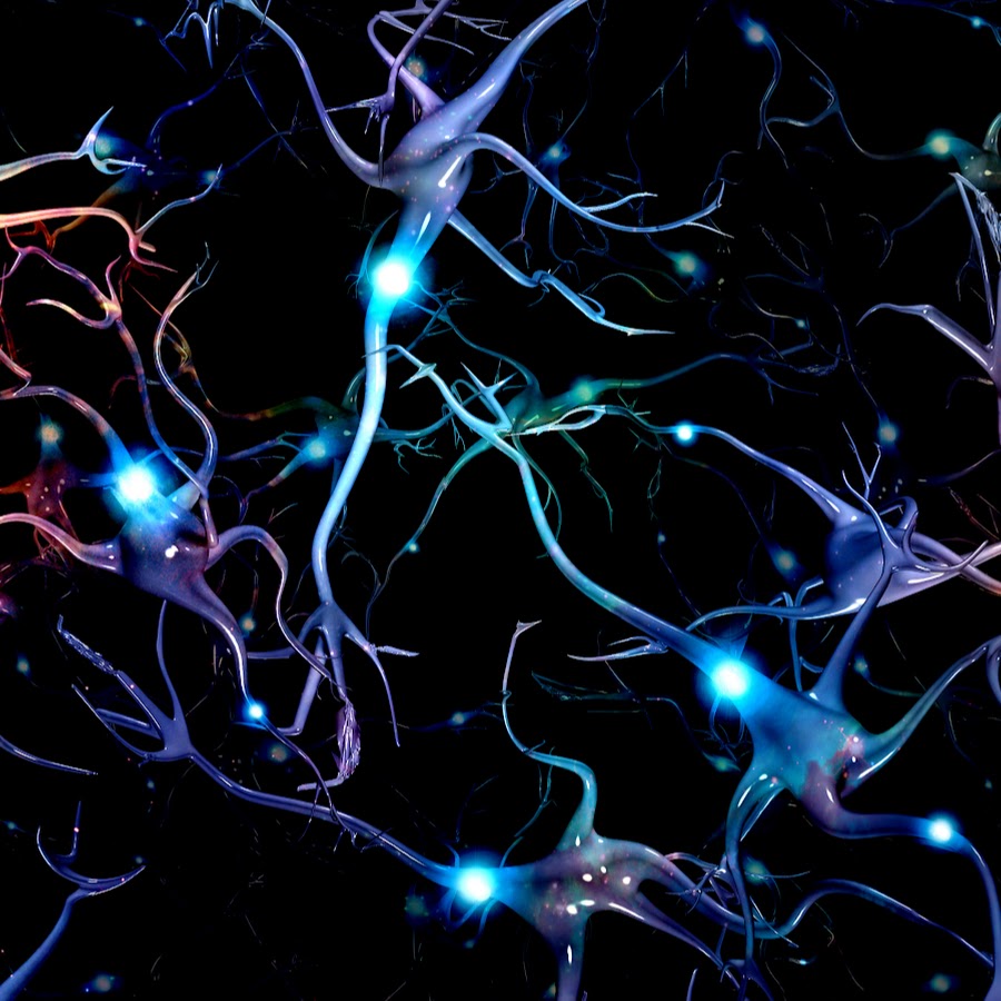 Нейроны текстура