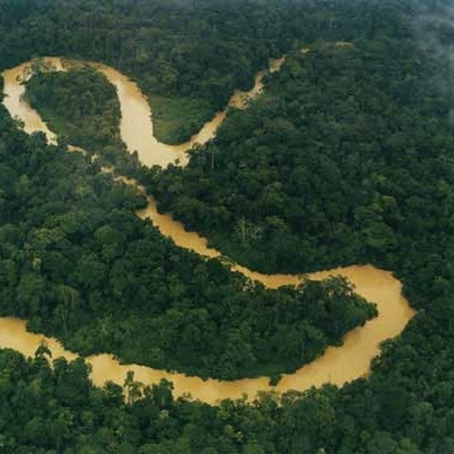 Амазонка полноводна круглый год. Амазонка самая длинная река в мире. Река Амазонка с птичьего полёта. Самая длинная река в мире. Амазонка с высоты птичьего полета фото.