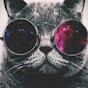 Crazy Cat - @crazycat246 YouTube Profile Photo