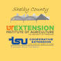 UT-TSU Extension Shelby County - @shelbycountyextension YouTube Profile Photo