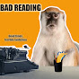 Bad Reading - @badreading4701 YouTube Profile Photo