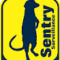 Sentry Surveillance - @sentrysurveillance2784 YouTube Profile Photo