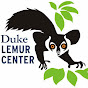Duke Lemur Center YouTube Profile Photo