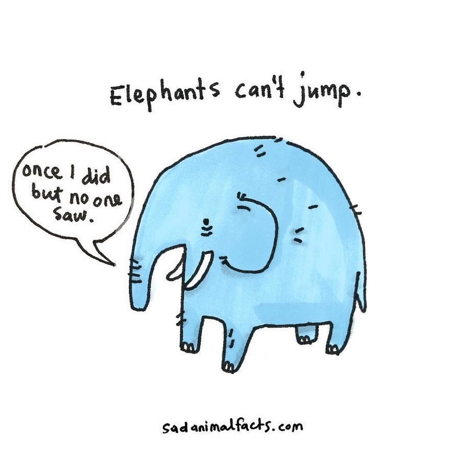 Шутка про слона