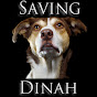 Saving Dinah - @savingdinah5374 YouTube Profile Photo