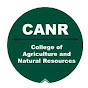 MSU College of Agriculture and Natural Resources - @msuanrvideo08 YouTube Profile Photo