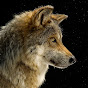 THE WOLF OF MAIN STREET - Sean Guthrie - @thewolfofmainstreet-seangu3039 YouTube Profile Photo