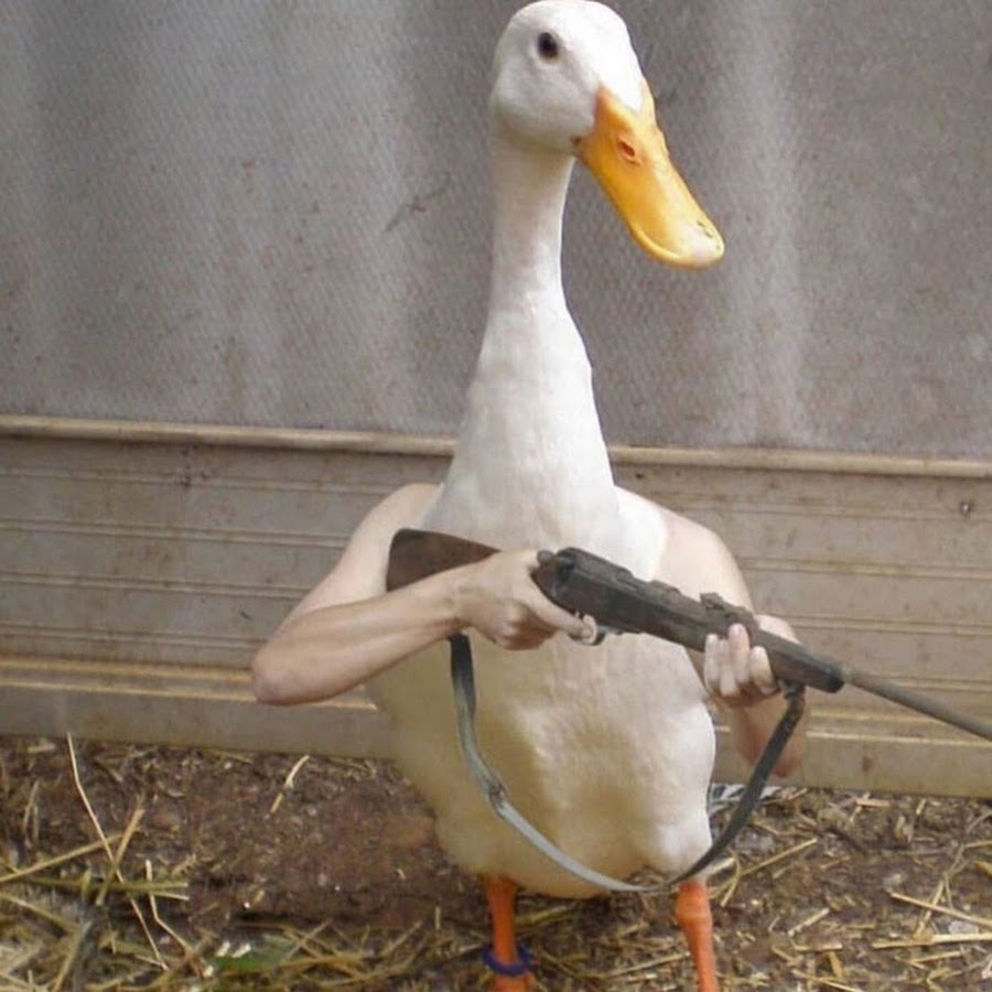 Horrible Goose