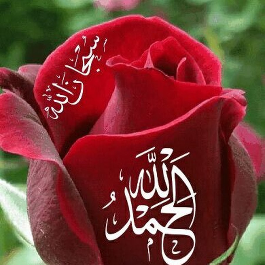 Исламские цветы