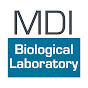 MDI Biological Laboratory YouTube Profile Photo