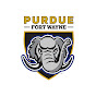 Purdue Fort Wayne Mastodons - @GoMastodons YouTube Profile Photo