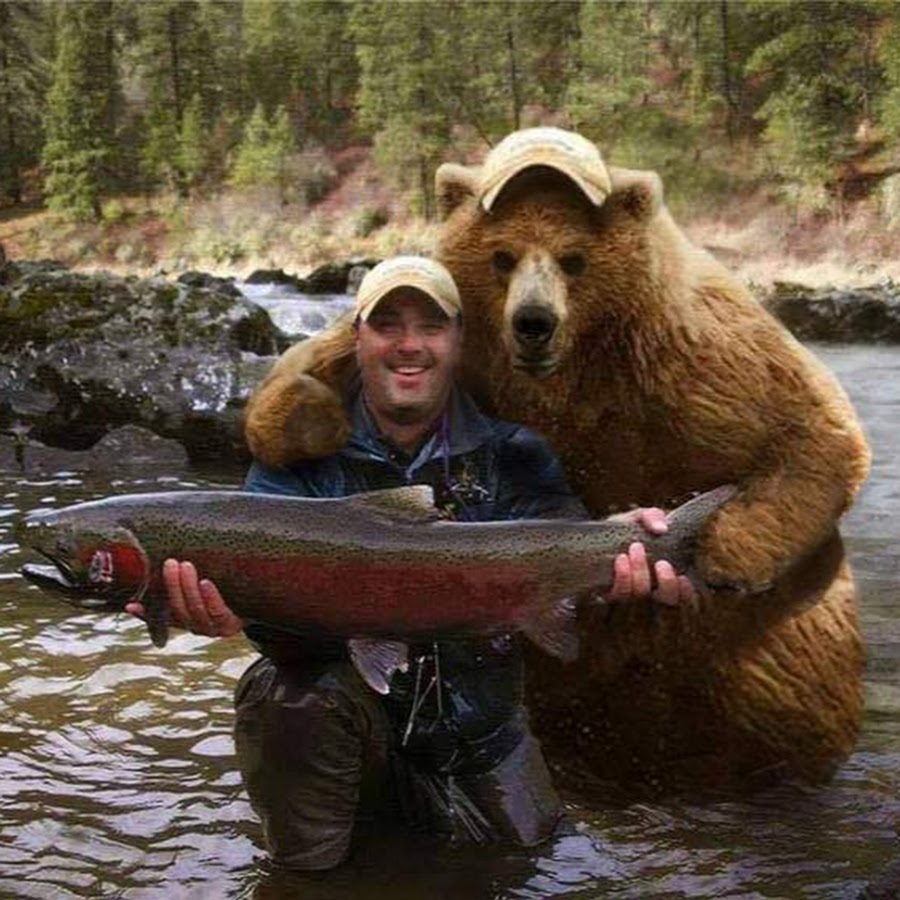 Медведь на рыбалке прикол