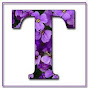 Teresa Rivera YouTube Profile Photo