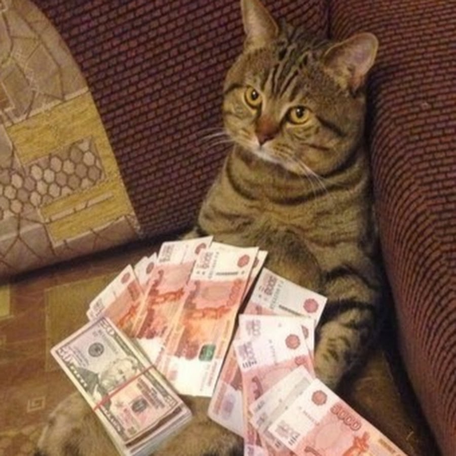 Котейка с деньгами