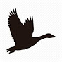 Flying Goose YouTube Profile Photo
